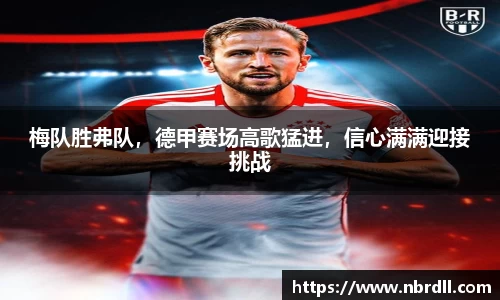 mk体育官方app